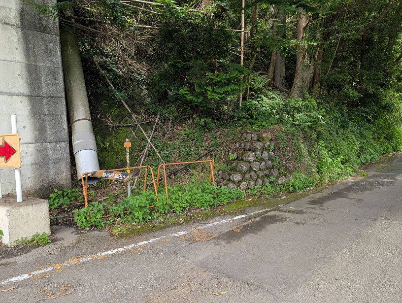 苴