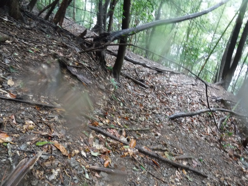 苴