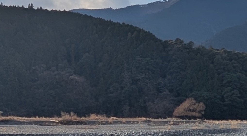 ���P�n�T�K�y���m�̈ꕪ�z