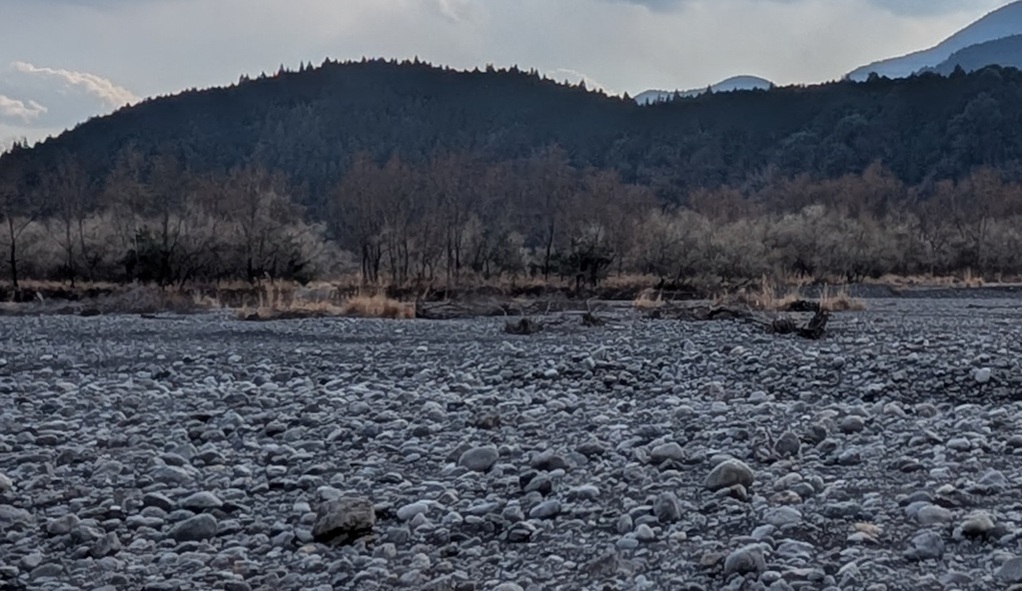 ���P�n�T�K�y���m�̈ꕪ�z