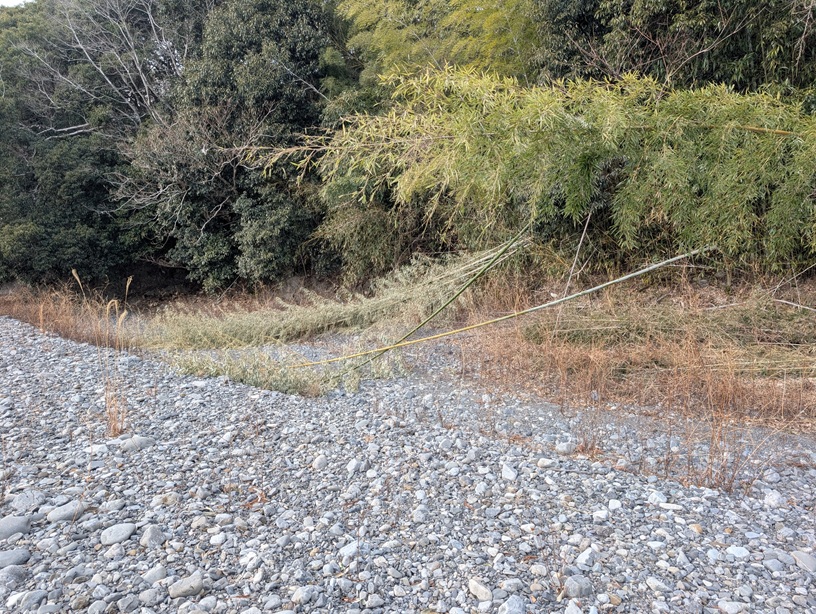 ���P�n�T�K�y���m�̈ꕪ�z