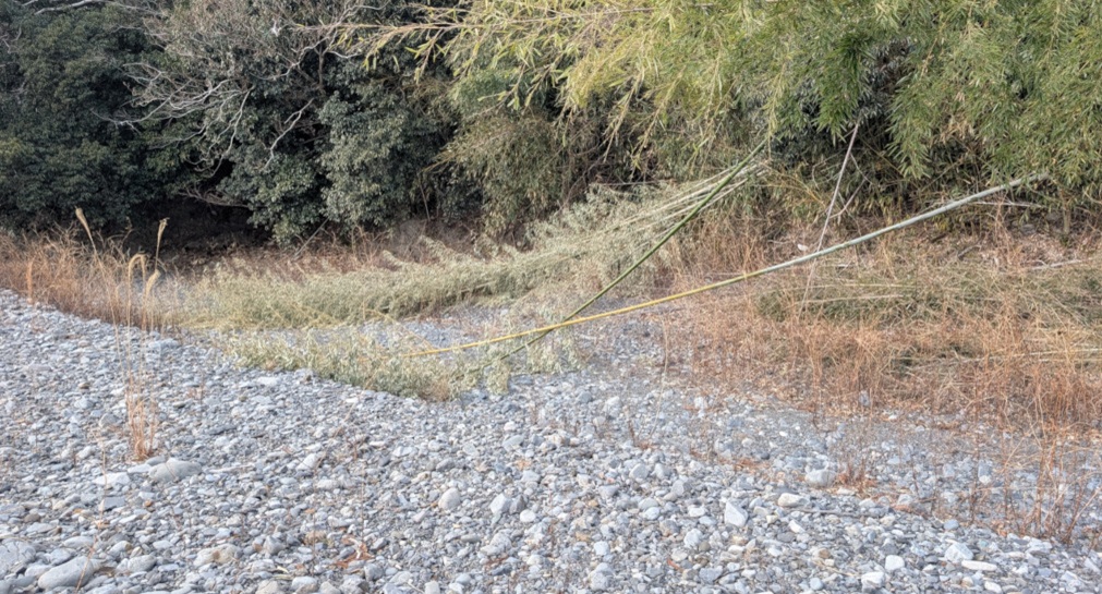 ���P�n�T�K�y���m�̈ꕪ�z