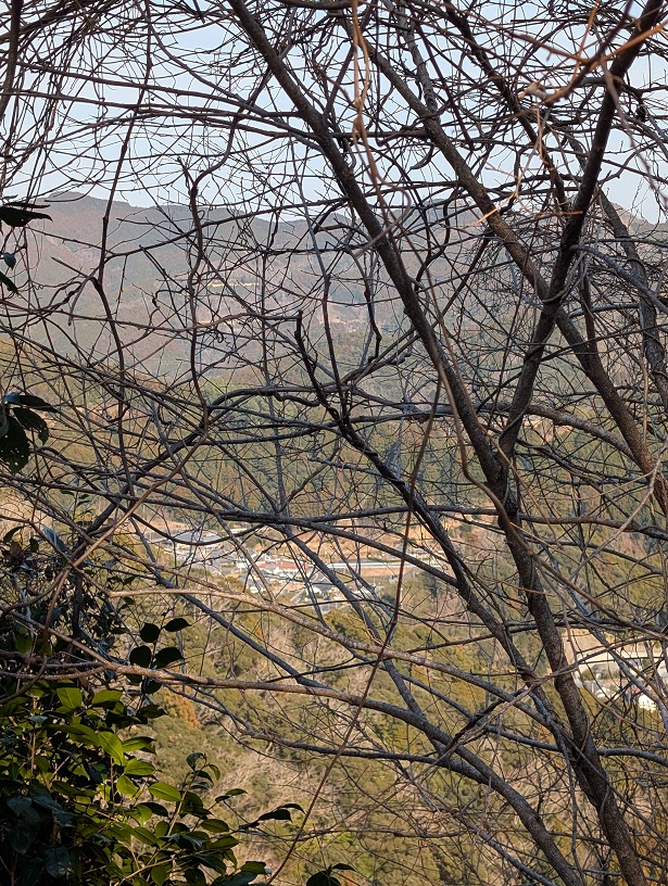 �y���Ȃ�K�[�h���[��