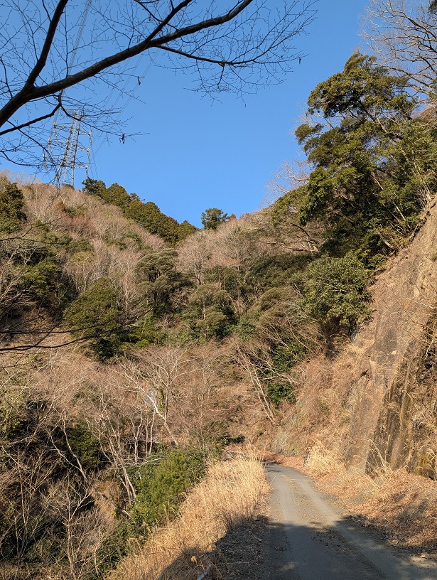 �y���Ȃ�K�[�h���[��