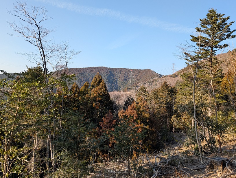 �y���Ȃ�K�[�h���[��