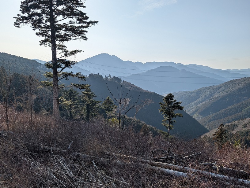 �y���Ȃ�K�[�h���[��