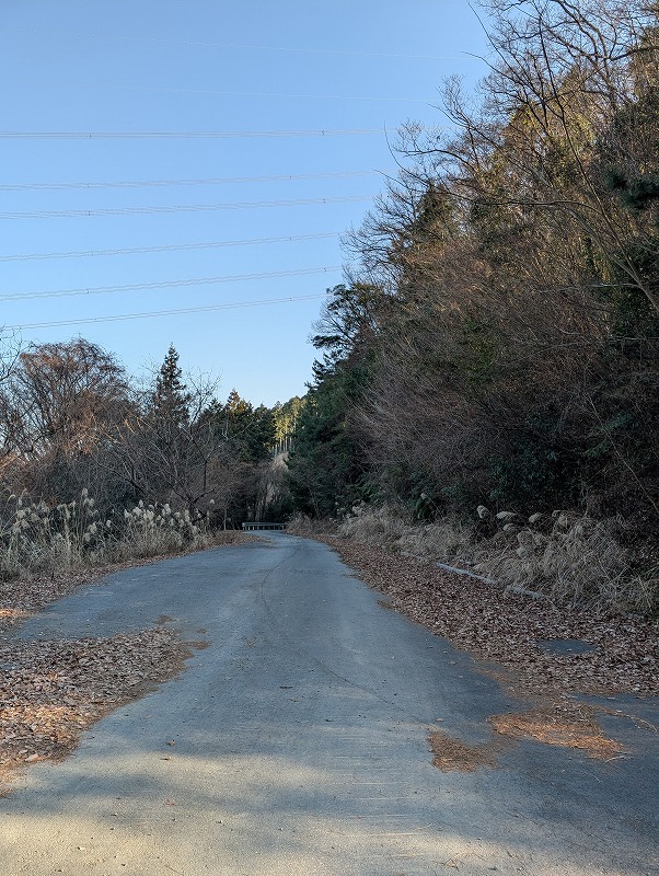 �y���Ȃ�K�[�h���[��