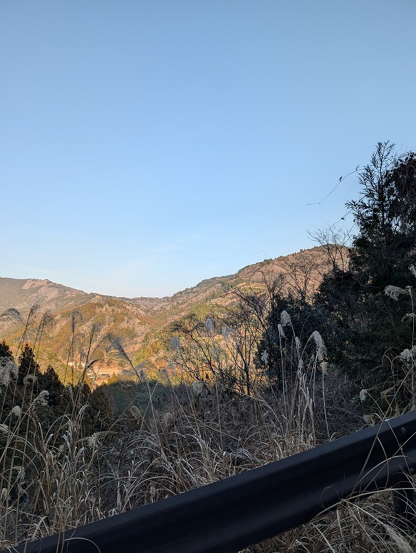 �y���Ȃ�K�[�h���[��