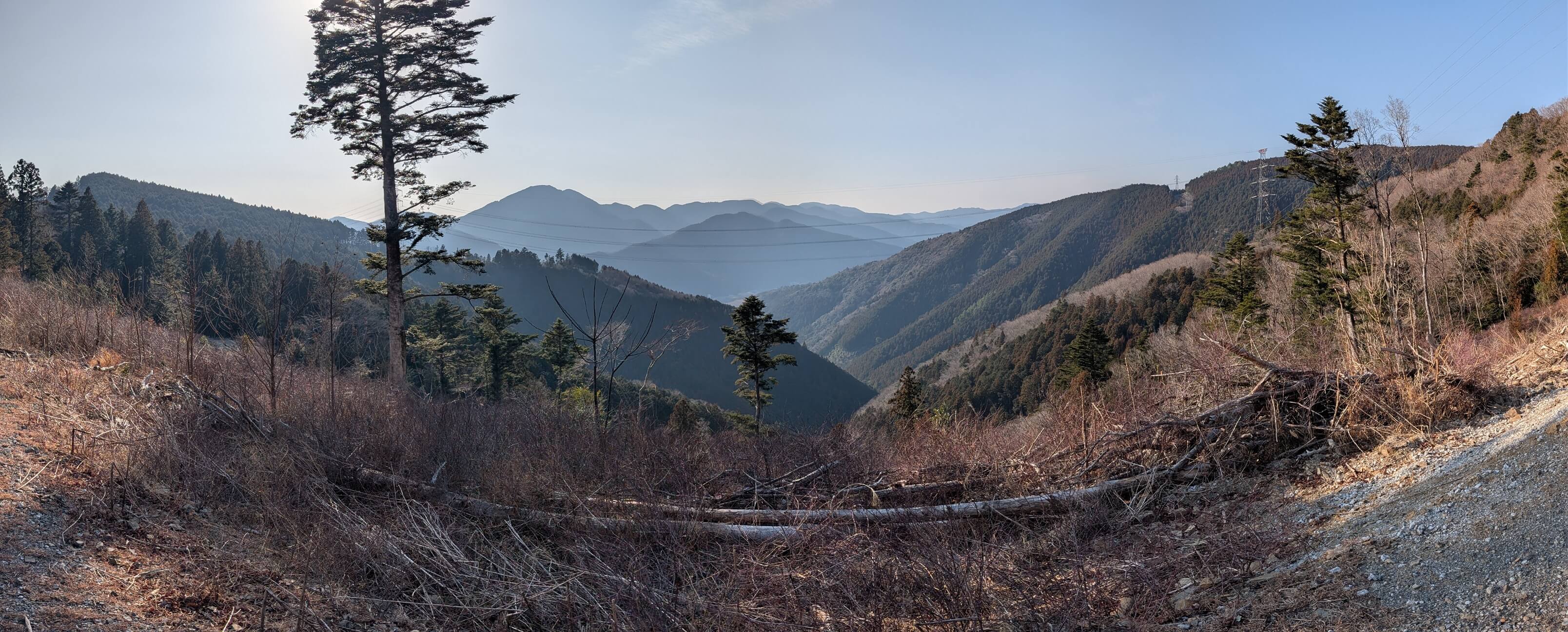 �ѓ��瓇���Ԑ�