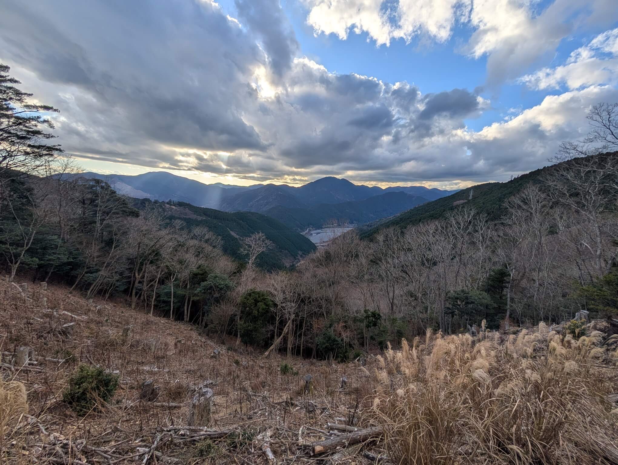 �ѓ��瓇���Ԑ�