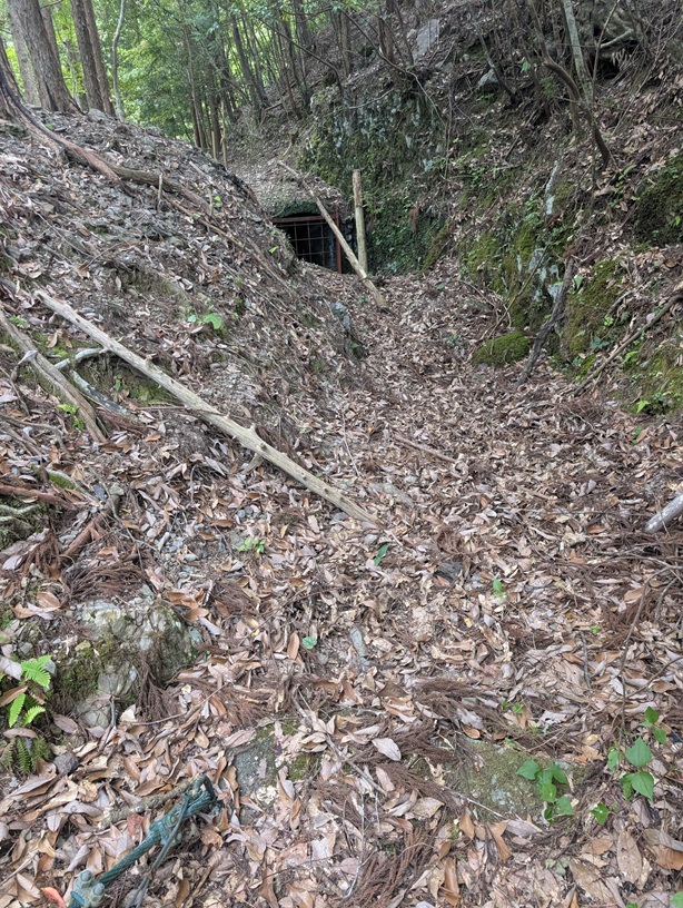 竹島水道
