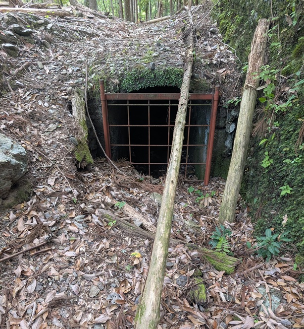 竹島水道