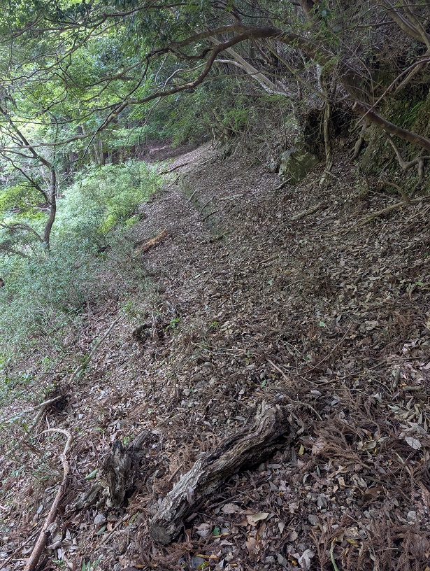 竹島水道
