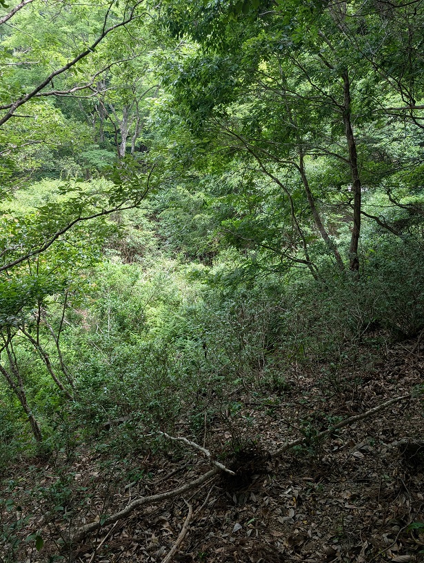 竹島水道