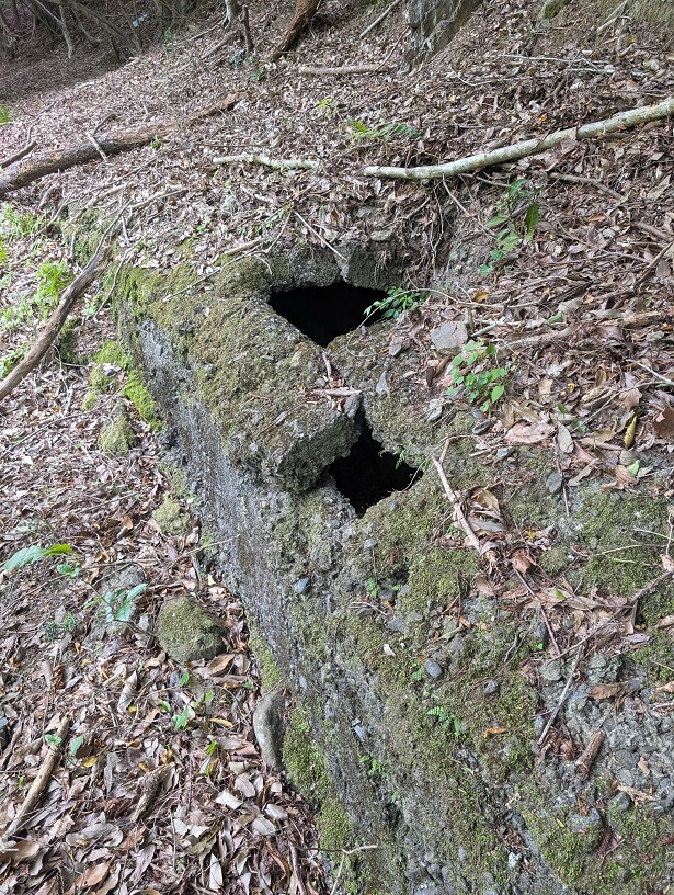 竹島水道