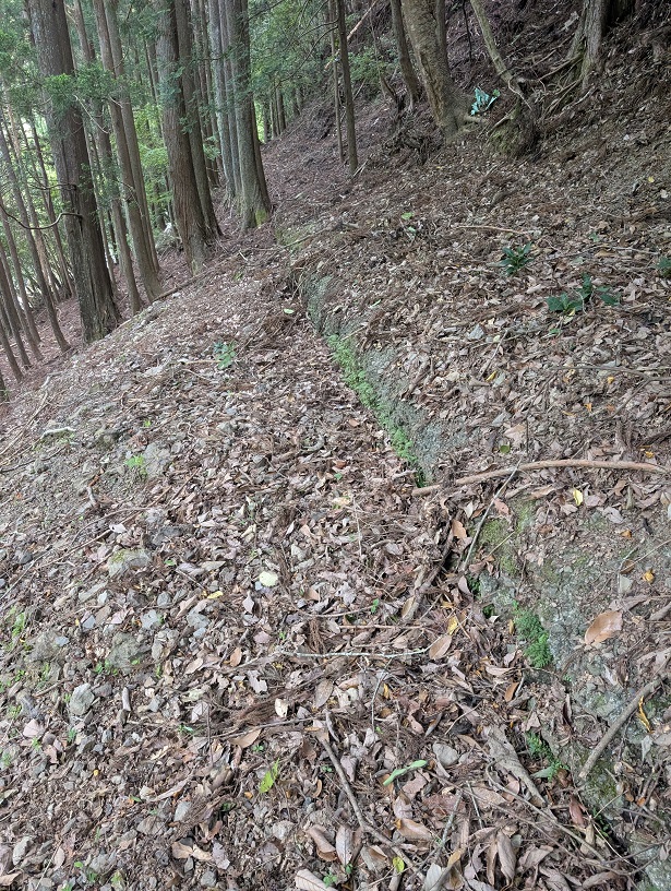 竹島水道