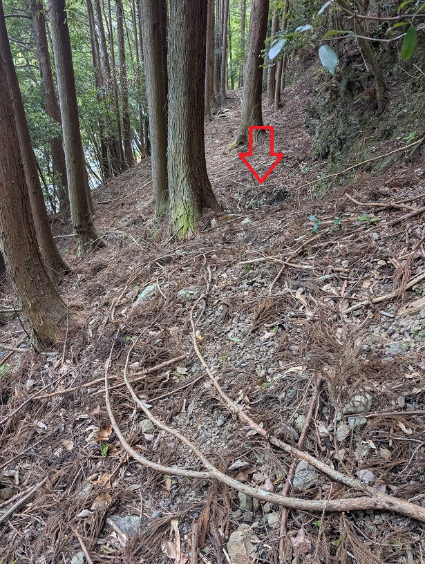 竹島水道