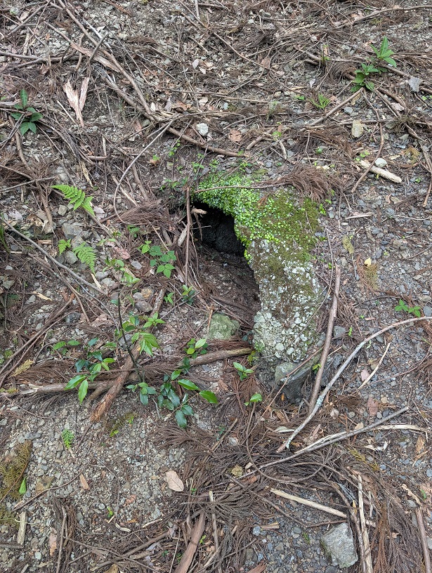 竹島水道