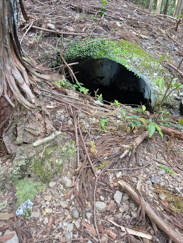 竹島水道
