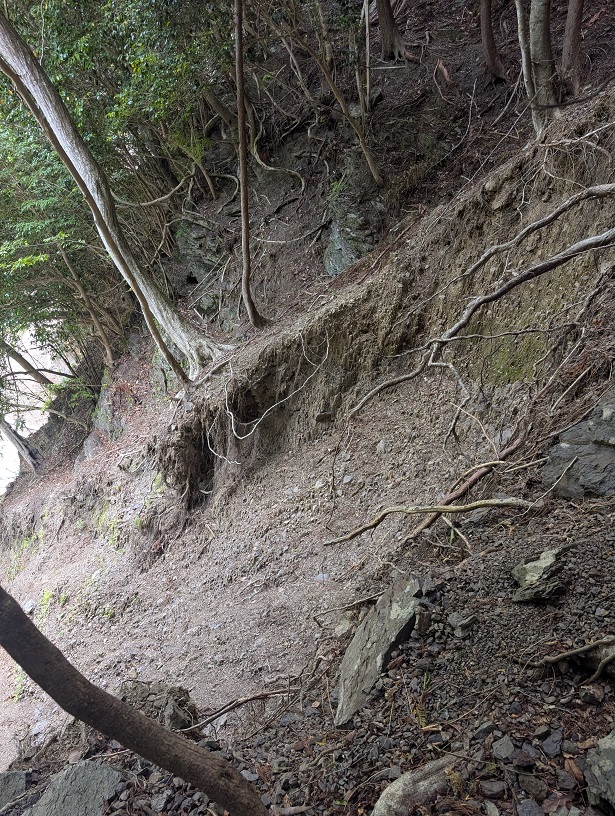 竹島水道