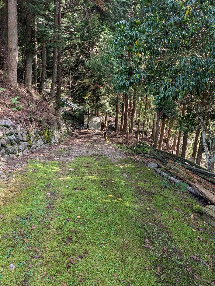 竹島水道