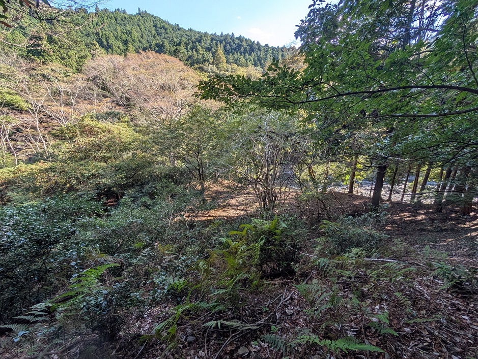 竹島水道